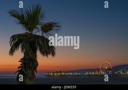 Palme am Strand bei Sonnenuntergang Stockfoto