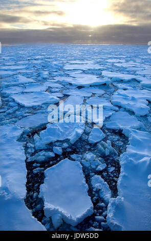 Eisscholle im Südpolarmeer, 180 Meilen nördlich von Ostantarktis, Antarktis Stockfoto