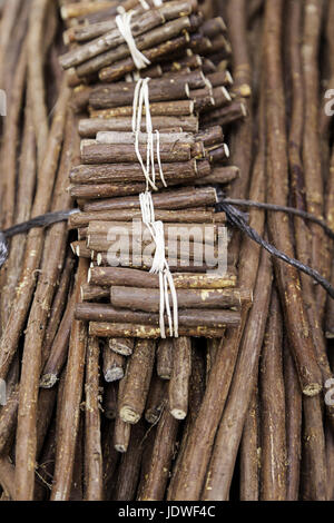 Lakritz-Sticks, Detail von Lakritz-Aroma-sticks Stockfoto