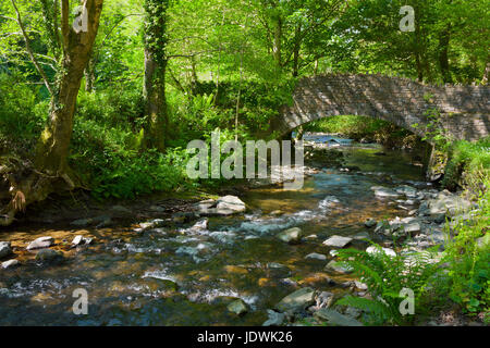 Brücke über den Fluß Heddon im Heddon Valley in Exmoor National Park, Nord-Devon, England. Stockfoto