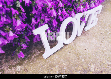 Liebe Wort mit weißer Schrift in einem Garten voller rosa Blüten Stockfoto