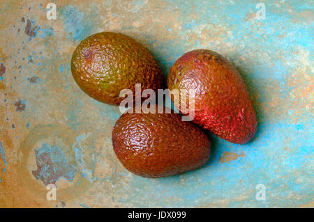 Avocado Birnen im alten Landhausstil Messing Schale Stockfoto