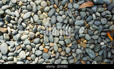 Viel grau, schwarz, weiß Kieselstein Textur Hintergrund mit getrockneten orange Blätter Stockfoto