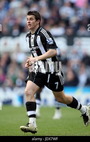 JOEY BARTON NEWCASTLE UNITED FC ST. JAMES PARK NEWCASTLE ENGLAND 1. März 2008 Stockfoto