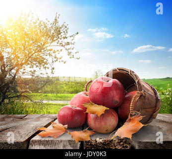 Äpfel in einem Korb auf den Tisch und Landschaft Stockfoto