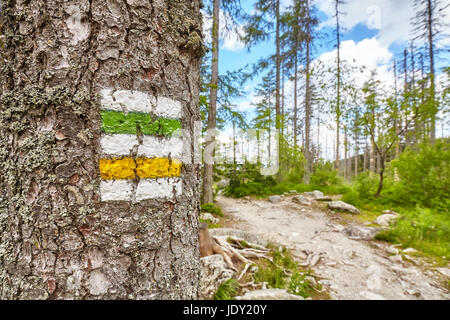 Ein Wanderweg Markierung am Baum, hohen Tatra, Slowakei gemalten Nahaufnahme. Stockfoto