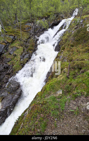 Voringsfossen, der 83. höchste Wasserfall in Norwegen auf der Grundlage von insgesamt fallen. Es ist vielleicht der berühmteste Wasserfall des Landes. Stockfoto