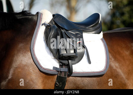 Schöner Sport Sattel Closeup auf Springreiten-Ausbildung Stockfoto