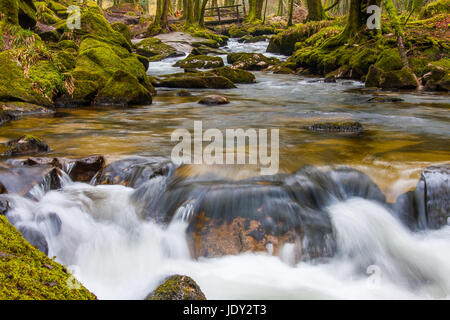 Golitha Falls - Bodmin Moor Stockfoto