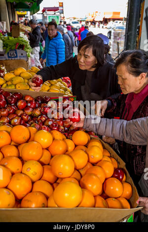 Chinese-Americans, Chinesisch-amerikanische Menschen, Shopper, Shopping, Obst- und Gemüsemarkt, Stockton Street, Chinatown, San Francisco, Kalifornien Stockfoto