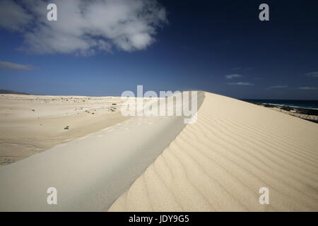 die Dünen von Corralejo im Norden der Insel Fuerteventura auf der Kanarischen Insel von Spanien in den Atlantischen Ozean. Stockfoto