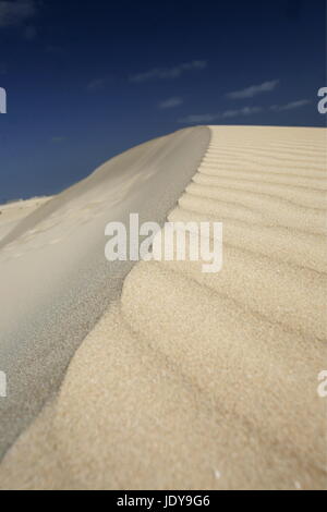 die Dünen von Corralejo im Norden der Insel Fuerteventura auf der Kanarischen Insel von Spanien in den Atlantischen Ozean. Stockfoto