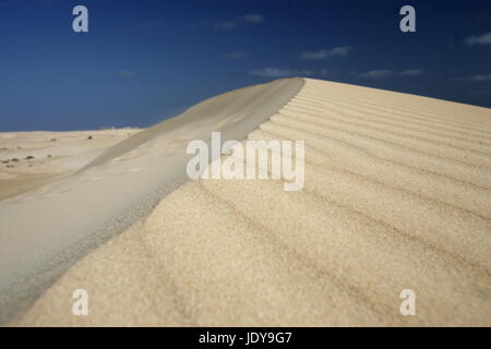 die Dünen von Corralejo im Norden der Insel Fuerteventura auf der Kanarischen Insel von Spanien in den Atlantischen Ozean. Stockfoto