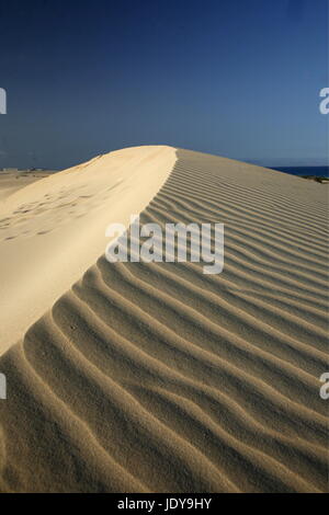 die Dünen von Corralejo im Norden der Insel Fuerteventura auf der Kanarischen Insel von Spanien in den Atlantischen Ozean. Stockfoto