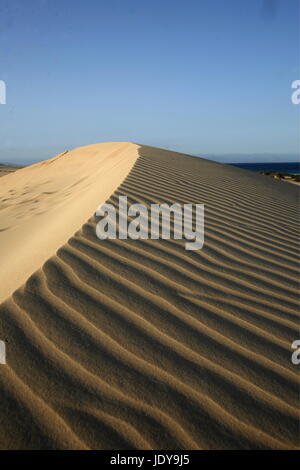 die Dünen von Corralejo im Norden der Insel Fuerteventura auf der Kanarischen Insel von Spanien in den Atlantischen Ozean. Stockfoto