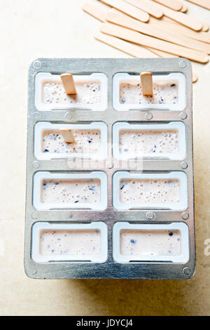 Tiefkühltruhe bereit Formen mit Heidelbeer Joghurt Eis Eis am Stiel Stockfoto