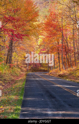 Der Skyline Drive läuft 105 Meilen Norden und Süden entlang dem Kamm der Blue Ridge Mountains im Shenandoah National Park und ist der einzige öffentliche Strasse t Stockfoto