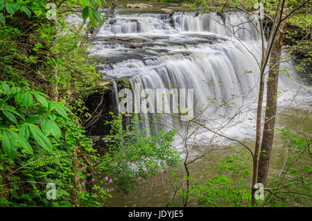 Brush Creek Falls in West Virginia durch das üppige Frühling grün gespickt mit bunten Wildblumen wie rote Akelei und lila Phlox aus gesehen. Stockfoto