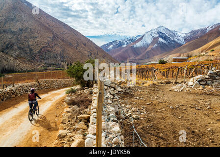 Junge Frau Mountainbiken im Elqui-Tal in der Nähe von Vicuña, Chile mit den Anden im Hintergrund Stockfoto