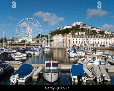 Die englische Riviera Resort von Torquay mit Riesenrad und attraktive Waterfront, Torquay, Torbay, Devon, England, Großbritannien Stockfoto