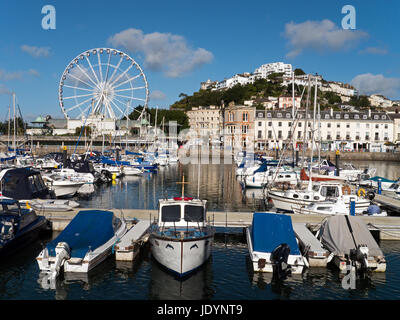 Die englische Riviera Resort von Torquay mit Riesenrad und attraktive Waterfront, Torquay, Torbay, Devon, England, Großbritannien Stockfoto