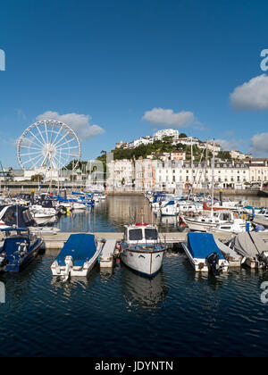 Die englische Riviera Resort von Torquay mit Riesenrad und attraktive Waterfront, Torquay, Torbay, Devon, England, Großbritannien Stockfoto