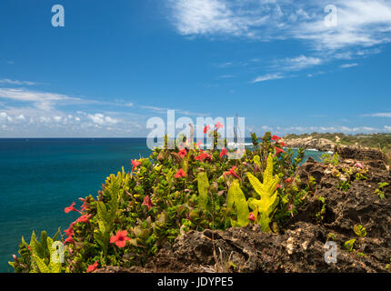 Makawehi Bluff und Poipu auf Kauai Stockfoto