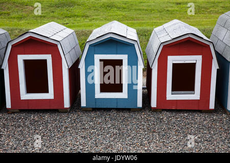 Drei neue Hundehütten. Grasgrün Hintergrund. Kies-Vordergrund. Keine Hunde. Horizontale. Stockfoto
