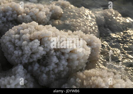 Die Küste mit Natursalz des Todes Meer ordentlich Dorf Mazraa in Jordanien im Nahen Osten. Stockfoto