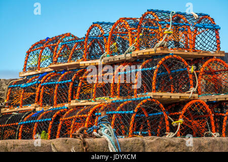 In der Nähe von großen Haufen bunter Hummer Töpfe oder Reusen auf der Hafenseite. Sie an einem sonnigen Tag mit blauem Himmel, North Berwick, East Lothian, Schottland, Großbritannien Stockfoto