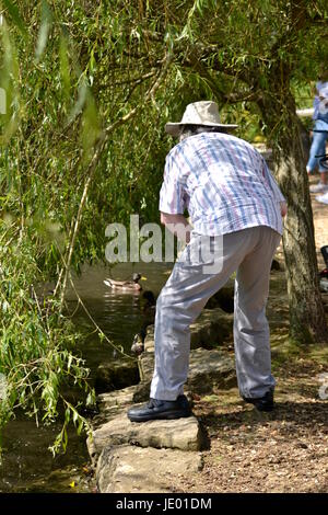 Bournemouth, UK. 21. Juni 2017. DE Wetter: sonnig und warm Wetter am längsten Tag des Jahres. Coy Teich und Bournemouth Gärten war voller Leben. Viele Leute der Gegend besuchte, genoss die Schönheit der Natur einschließlich beobachten Vögel, Blumen, Schmetterlinge und natürlich Sonne. Bournemouth, Großbritannien Stockfoto