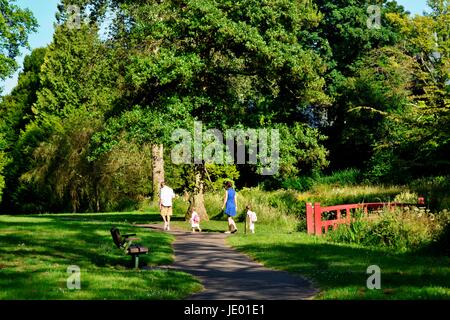 Bournemouth, UK. 21. Juni 2017. DE Wetter: sonnig und warm Wetter am längsten Tag des Jahres. Coy Teich und Bournemouth Gärten war voller Leben. Viele Leute der Gegend besuchte, genoss die Schönheit der Natur einschließlich beobachten Vögel, Blumen, Schmetterlinge und natürlich Sonne. Bournemouth, Großbritannien Stockfoto