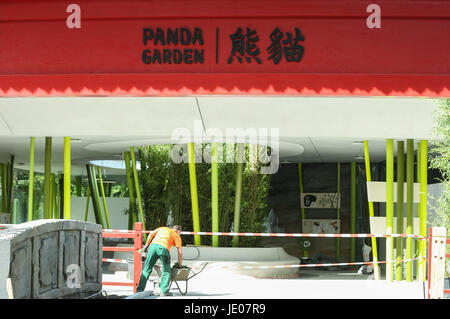 Berlin, Deutschland. 21. Juni 2017. Ein Mann arbeitet an einem Eingang zu der neuen Villa von zwei chinesischen Pandas "Qing Jiao" und "Meng Meng" im Berliner Zoo in Berlin, Deutschland, 21. Juni 2017. Der Berliner Zoo baut ein Paradies für zwei chinesische Pandas im Zoo am 24. Juni zu machen sie "zu Hause fühlen" Regisseur Andreas Knieriem am Mittwoch sagte ankommen. Die neue Panda-Villa umfasst eine Fläche von 5.500 Quadratmetern mit einem Zinnober Torbogen und Bambus Zaun. Bildnachweis: Shan Yuqi/Xinhua/Alamy Live-Nachrichten Stockfoto