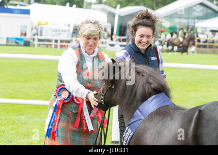 Edinburgh, Schottland. 22. Juni 2017. Emotion und Freude für die Champion-Shetland-Pony auf der Royal Highland Show, Edinburgh Credit: Kay Roxby/Alamy Live News Stockfoto