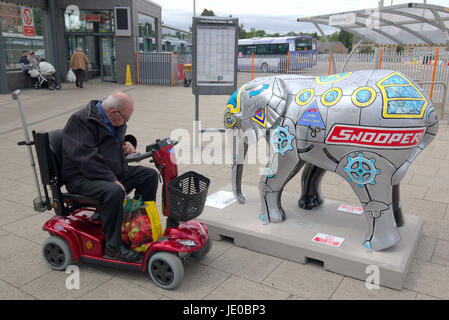 Hamilton Railway Station Jugendliche Klangregelung Zentralgerät installiert in der Bahnhofshalle von Hauptbahnhof Hamilton, in der Nähe von den anderen wilden Tieren der The Big Stampede, Snooper der Elefant, hier Teil der Tierwelt in Hamilton.A "Wild in der Kunst" Stockfoto