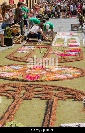 La Orotava, Teneriffa, 22. Juni 2017. Jährlichen Corpus Christi feiern, wenn die Menschen vor Ort Teppiche aus Blüten, Samen und Sand in die Straßen und Plätze von La Orotava machen. Viele der Teppiche zeigen Szenen aus dem Leben Christi und die wichtigsten Sand Teppich auf dem Rathaus-Platz in diesem Jahr zeigt der Papst mit einem alten Bauern Dame neben Christus, Mose, Gott und eine weiße Taube in der zentralen Bild. Bildnachweis: Phil Crean A/Alamy Live-Nachrichten Stockfoto