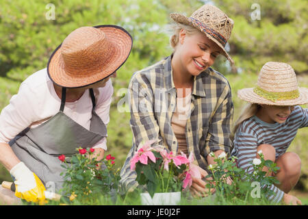 Drei Generationen von Frauen, die zusammen mit Topfpflanzen im Garten Stockfoto