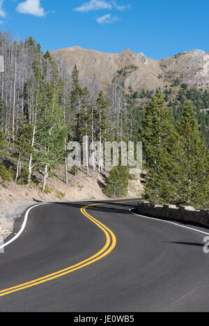 Gepflasterte Trail Ridge Road geht durch Rocky Mountain National Park im Northern Colorado gelegen. Stockfoto