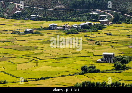 Kreative Muster und Texturen der Reisfelder in Himalaya-region Stockfoto