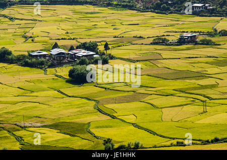 Kreative Muster und Texturen der Reisfelder in Himalaya-region Stockfoto