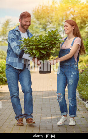 Lächelnder Mann und Frau Gärtner tragen grüne Schwein Topfpflanzen Blume im Garten zusammen. Stockfoto