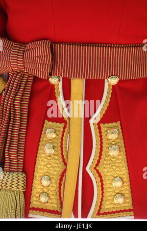 Der Irish Guards Regimental Maskottchen, Domnhall, führt die Truppen über The Mall, London für Trooping die Farbe 17. Juni 2017 Stockfoto