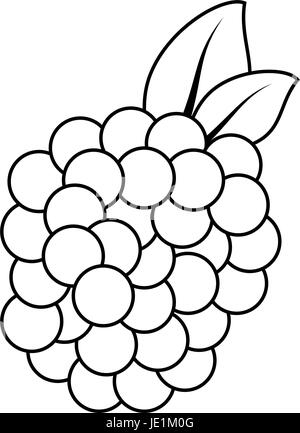 isolierte süße Blackberry Symbol Vektor Illustration Grafik-design Stock Vektor