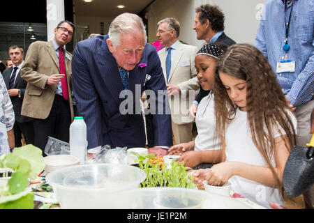 London, UK. 22. Juni 2017. Prinz Charles trifft auf lokale Schulkinder/junge Gärtner. Prinz Charles, der Prinz von Wales, Schirmherr der Soil Association, besucht eine Rezeption mit Anhängern der Bio-Bewegung anlässlich seinen 70. Geburtstag. Die Soil Association fördert gesunde, humane und nachhaltige Lebensmittel, Landwirtschaft und Land verwenden. Stockfoto