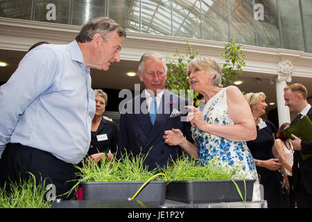 London, UK. 22. Juni 2017. Der Prince Of Wales trifft Mitglieder des Assocation Stand innovativer Landwirte und Uhren Demonstrationen. Prinz Charles, der Prinz von Wales, Schirmherr der Soil Association, besucht eine Rezeption mit Anhängern der Bio-Bewegung anlässlich seinen 70. Geburtstag. Die Soil Association fördert gesunde, humane und nachhaltige Lebensmittel, Landwirtschaft und Land verwenden. Stockfoto