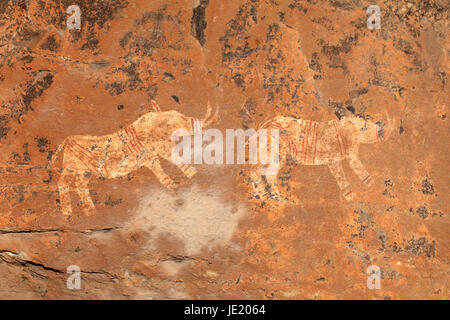 Buschmänner (San) rock Malerei abbildenden Nashorn, Drakensberge, Südafrika Stockfoto