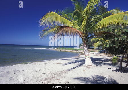 der Strand von Tela in der Nähe von San Pedro Sula am Meer sowie in Honduras in Mittelamerika Stockfoto