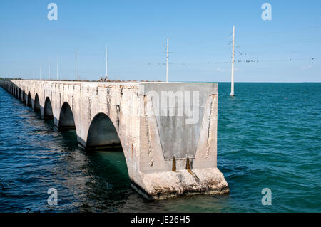 Sieben Meile Brücke Ruine in Florida Keys Stockfoto