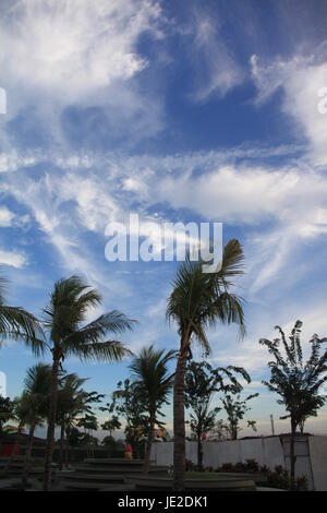 Sommertage Stockfoto