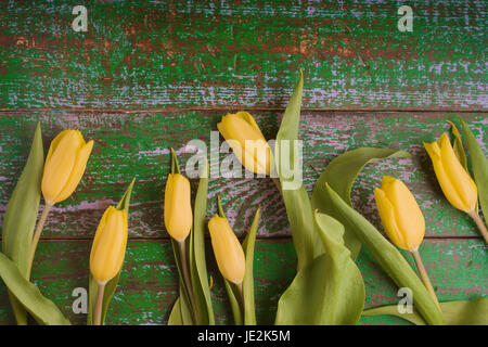 Tulips on the old green wooden background top view horizontal Stockfoto